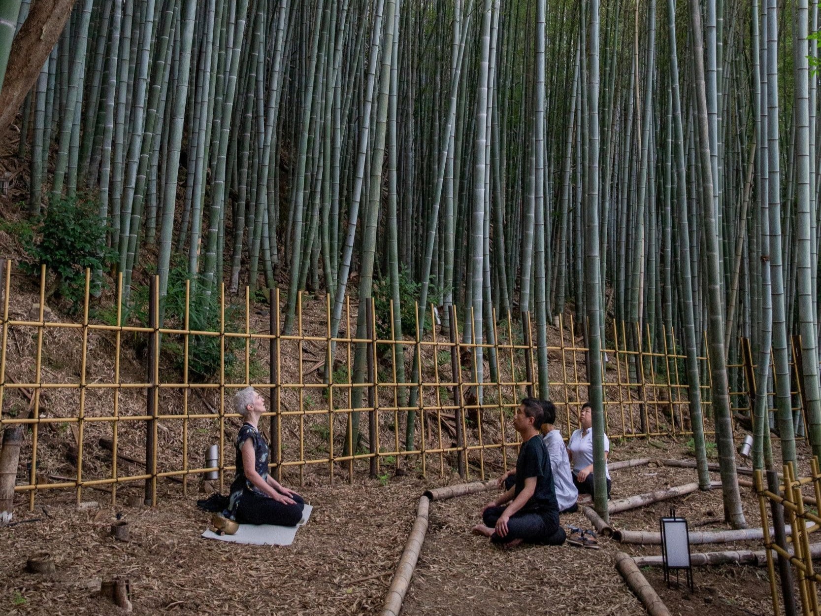 Morning Meditation in Kyoto